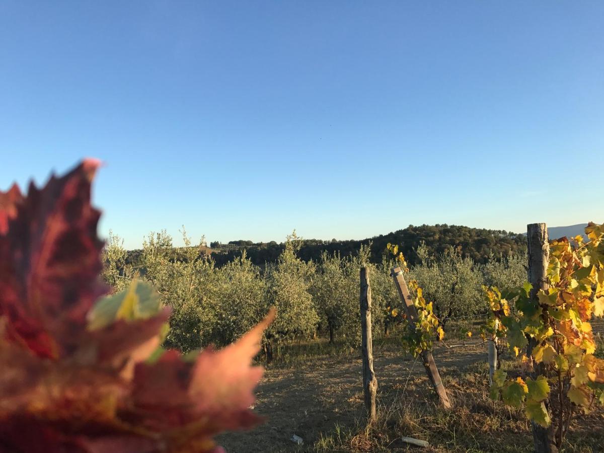 Ginestra Poggibonsi Exterior foto