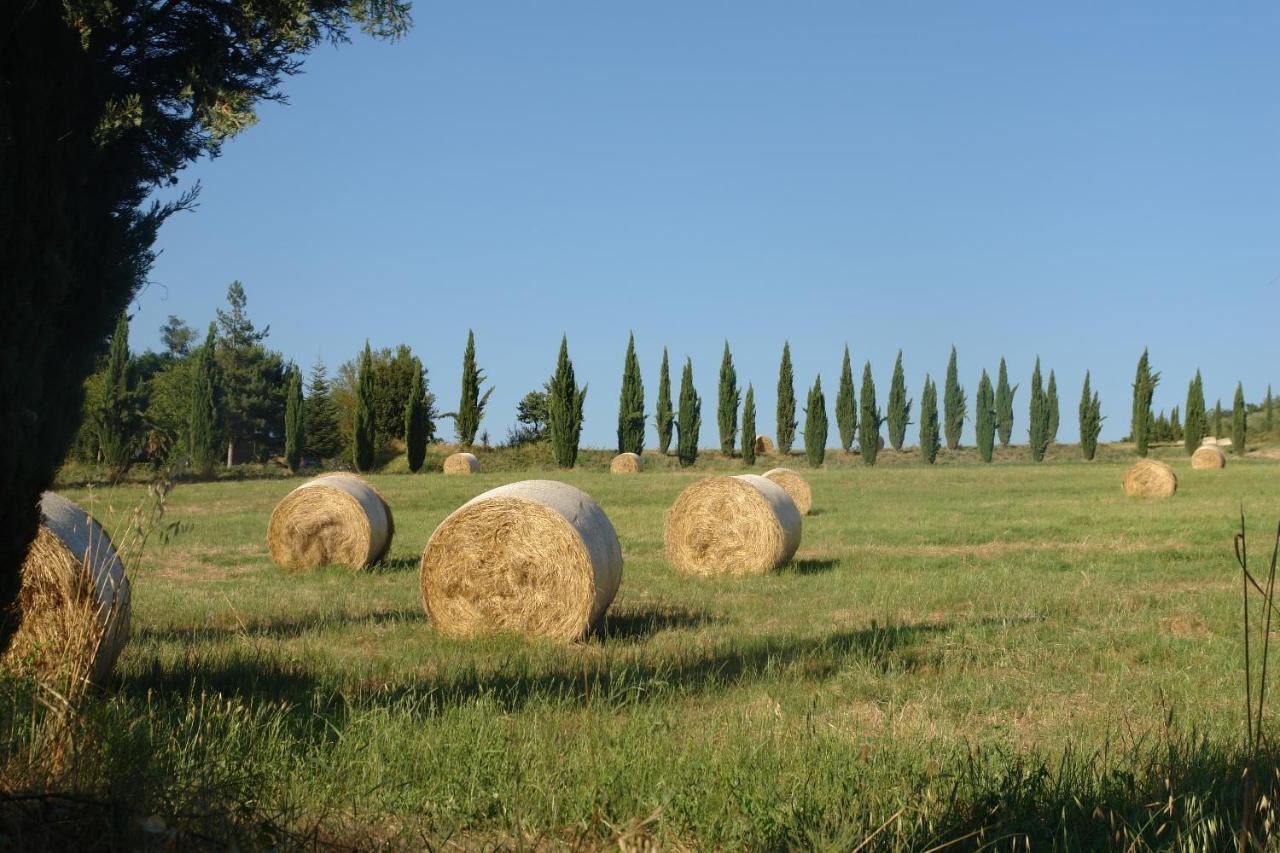 Ginestra Poggibonsi Exterior foto